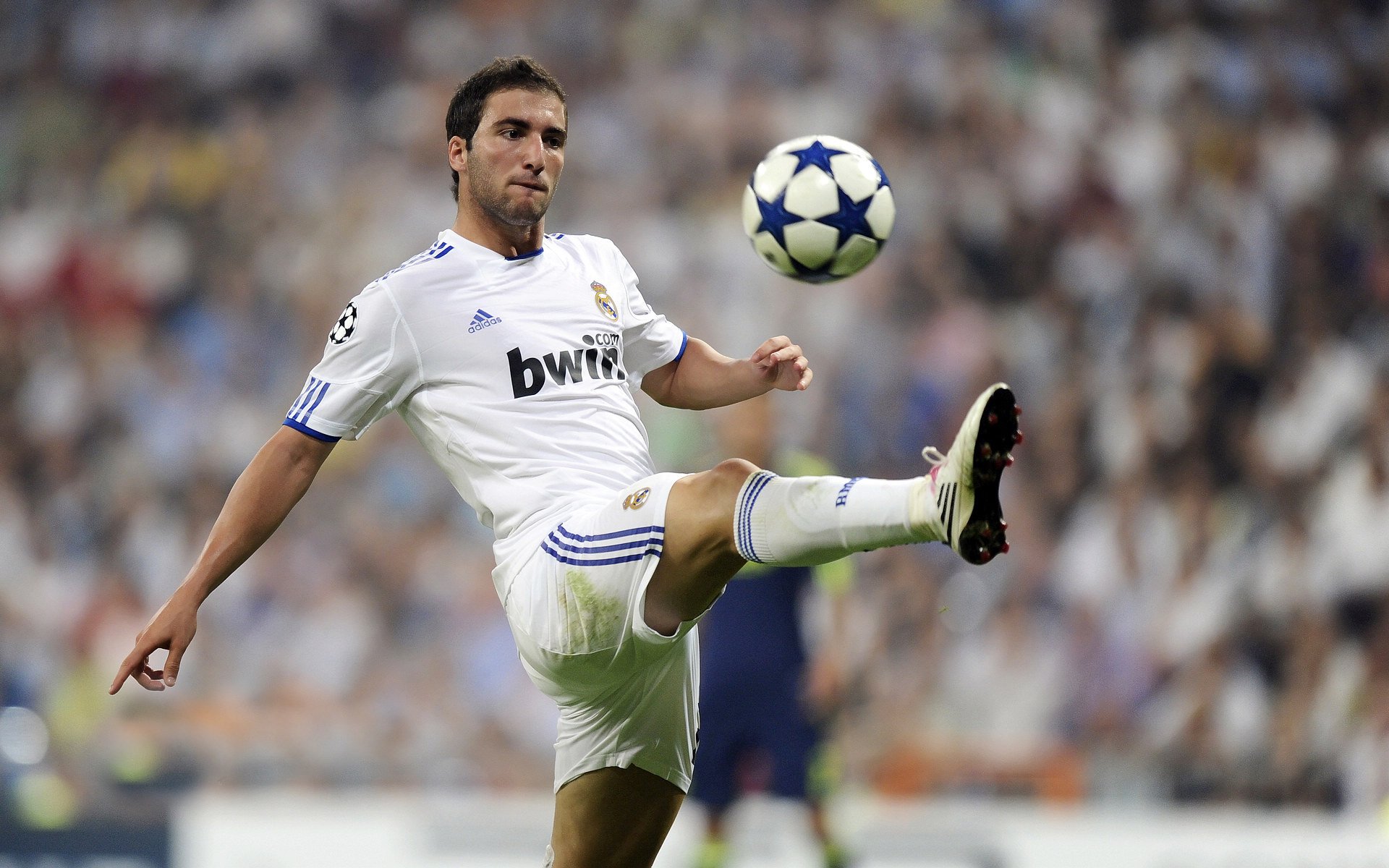 新赛季揭幕战，F1引擎轰鸣与CBA狂胜背后的体育变革密码